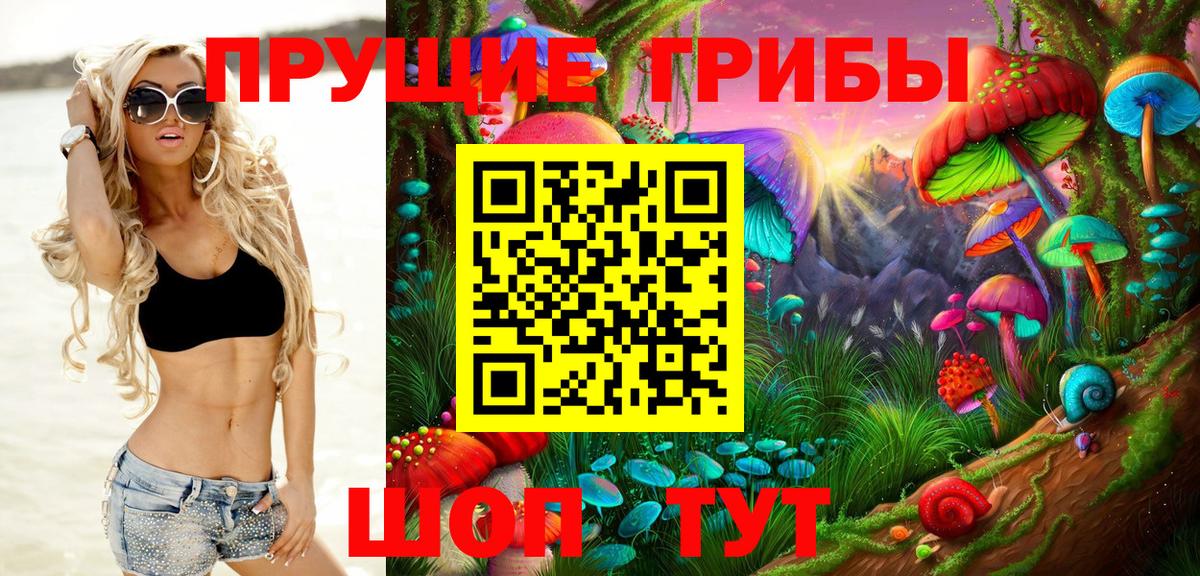 купить наркотик  Вход с VPN  Медногорск  Псилоцибиновые грибы прущие грибы  Псилоцибиновые грибы ЛСД 